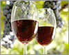 wine_small.jpg